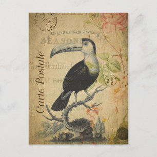  stijlvolle toucan Frans Carte Postale Briefkaart