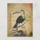  stijlvolle toucan Frans Carte Postale Briefkaart (Voorkant)