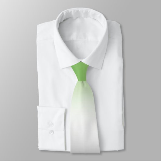 Stijlvolle Unisex Aromantische Pride Flag Stropdas (Gebonden)