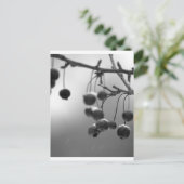 Stijlvolle zwarte + witte kerstbessen feestdagenkaart (Staand voorkant)