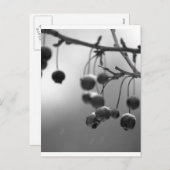 Stijlvolle zwarte + witte kerstbessen feestdagenkaart (Voorkant / Achterkant)