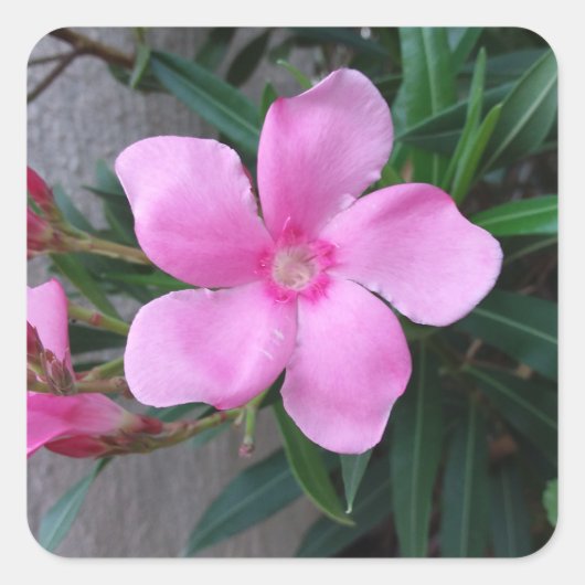 Stikers (20) vierkante hakjes vierkante sticker (Voorkant)