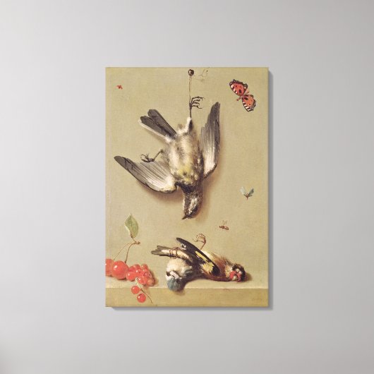 stil leven van dode vogels en kersen, 1712 canvas afdruk (Voorkant)