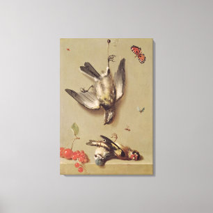stil leven van dode vogels en kersen, 1712 canvas afdruk