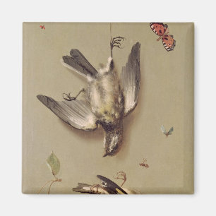 stil leven van dode vogels en kersen, 1712 magneet