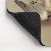 stil leven van dode vogels en kersen, 1712 muismat (Hoek)