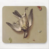 stil leven van dode vogels en kersen, 1712 muismat (Voorkant)