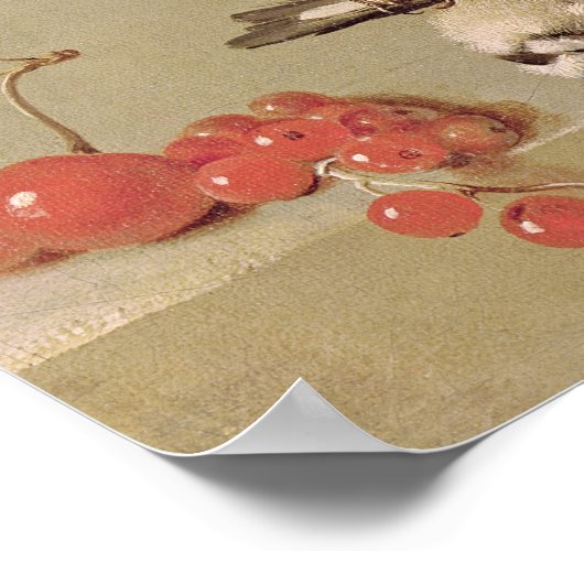 stil leven van dode vogels en kersen, 1712 poster (Hoek)