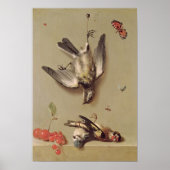 stil leven van dode vogels en kersen, 1712 poster (Voorkant)
