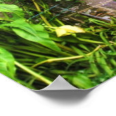 Stil Man Deur Afdrukken Poster (Hoek)