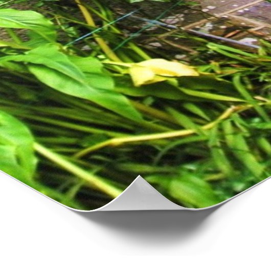 Stil Man Deur Afdrukken Poster (Hoek)