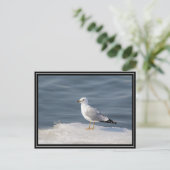 Stil op ijs briefkaart (Staand voorkant)