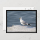 Stil op ijs briefkaart (Voorkant / Achterkant)