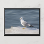 Stil op ijs briefkaart (Voorkant)