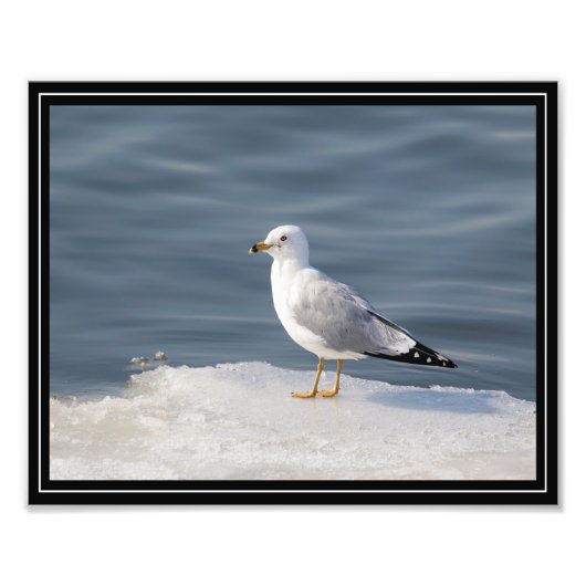 Stil op ijs foto afdruk (Voorkant)