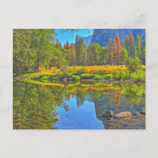 Stil Water Briefkaart (Voorkant)