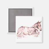 Stil (zalm) magneet (Voorkant / Achterkant)