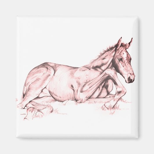 Stil (zalm) magneet (Voorkant)