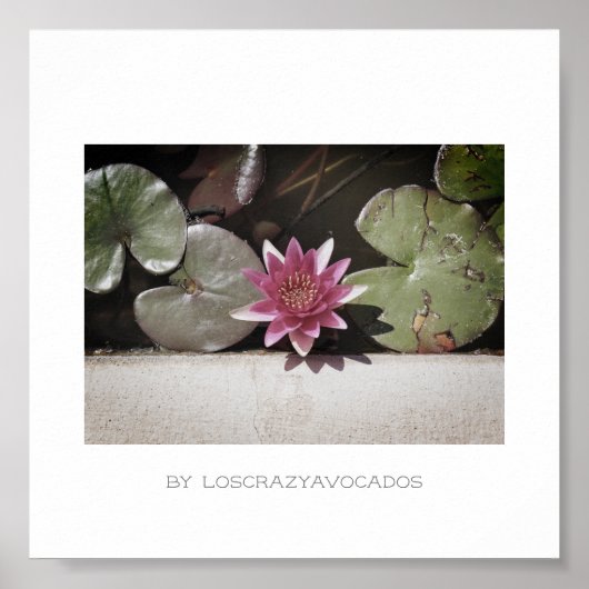 Stileer Planten Poster rood groen water Lily Flowe (Voorkant)