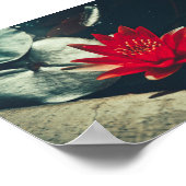 Stileer Planten Poster rood groen water Lily Flowe (Hoek)