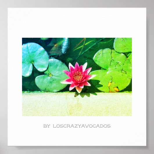 Stileer Planten Poster rood groen water Lily Flowe (Voorkant)