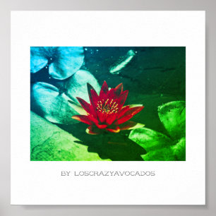 Stileer Planten Poster rood groen water Lily Flowe