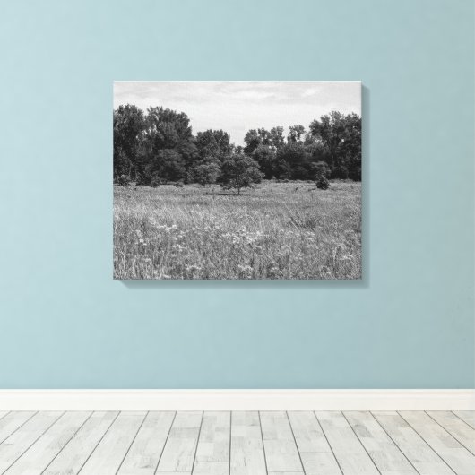 Still Prairie, Cloudy Sky Canvas Afdruk (Insitu (Houten vloer))