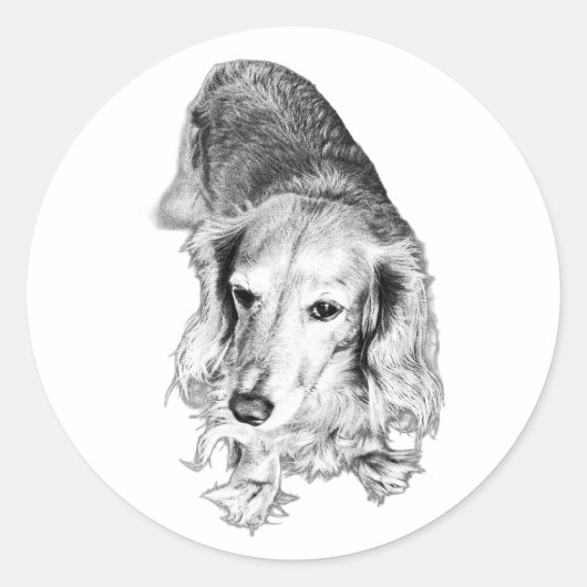 Still & Seen – Langharige Dachshond Ronde Sticker (Voorkant)