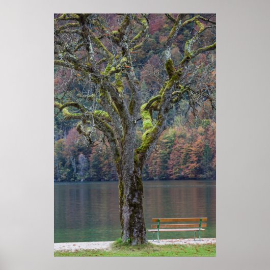 stille bank langs een meer, Duitsland Poster (Voorkant)