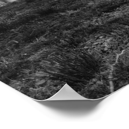 stille begraafplaats poster (Hoek)