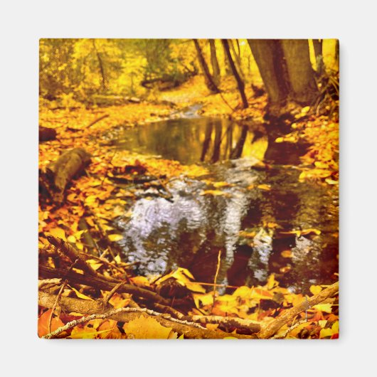 Stille Bezinning Magneet (Voorkant)