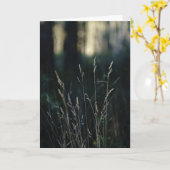 Stille Bos, Medeleven Kaart (Gele Bloem)