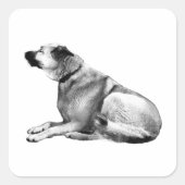Stille Helling Zitter Vierkante Sticker (Voorkant)