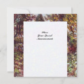 STILLE HERFST IN FLORENCE KAART (Achterkant)