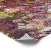 STILLE HERFST IN FLORENCE POSTER (Hoek)