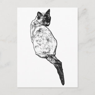 Stille Kat, Zachte Groeten Briefkaart