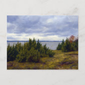 Stille kust van Vormsi Briefkaart (Voorkant)