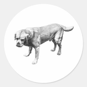 Stille lijnen van loyaliteit ronde sticker