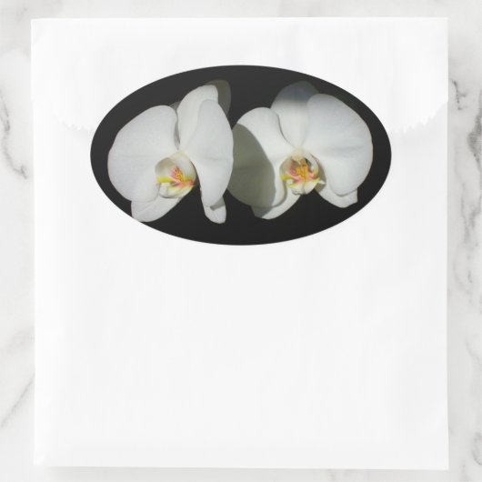 stille momenten ovale sticker (Tas)