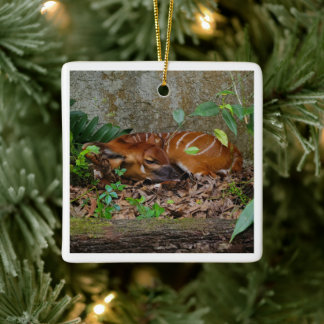 Stille nacht berg Bongo antilope kalf Keramisch Ornament