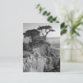 Stille Oceaan Briefkaart (Staand voorkant)