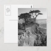 Stille Oceaan Briefkaart (Voorkant / Achterkant)