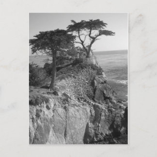 Stille Oceaan Briefkaart