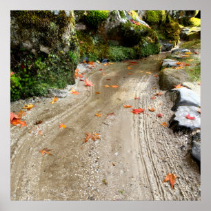 Stille Passage — Japanse Wabi-Sabi Fotoposter Poster