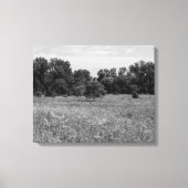 Stille Prairie, Bewolkte Lucht Canvas Afdruk (Voorkant)