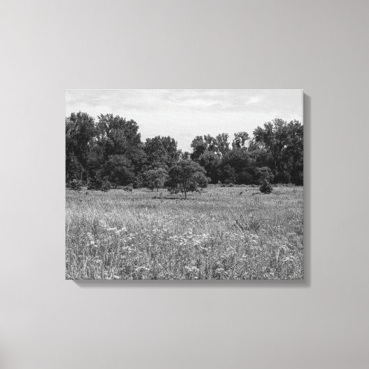 Stille Prairie, Bewolkte Lucht Canvas Afdruk (Voorkant)