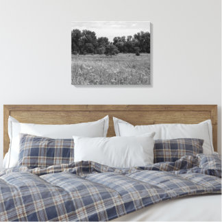 Stille Prairie, Bewolkte Lucht Canvas Afdruk