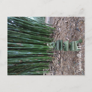 stille reflectie briefkaart