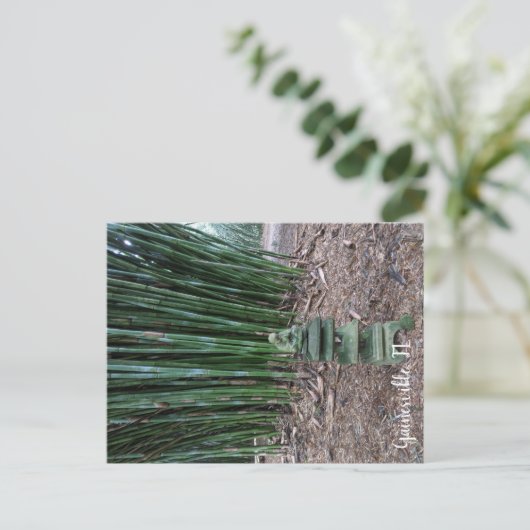 stille reflectie briefkaart (Staand voorkant)