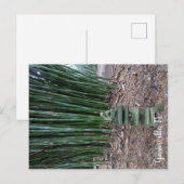 stille reflectie briefkaart (Voorkant / Achterkant)